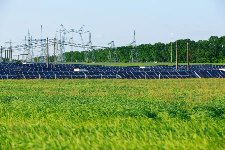 The Summit and the Coalition will contribute to building momentum ahead of COP30 in Brazil. Image Courtesy: IRENE