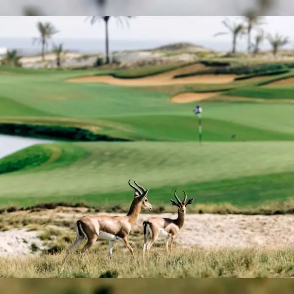 Green tourism in UAE: Nature’s beauty embracing sustainability