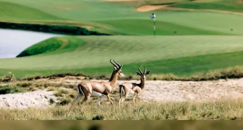 Green tourism in UAE: Nature’s beauty embracing sustainability