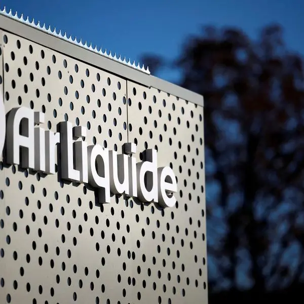Egypt, Air Liquide probe scaling up investments in industrial gases sector