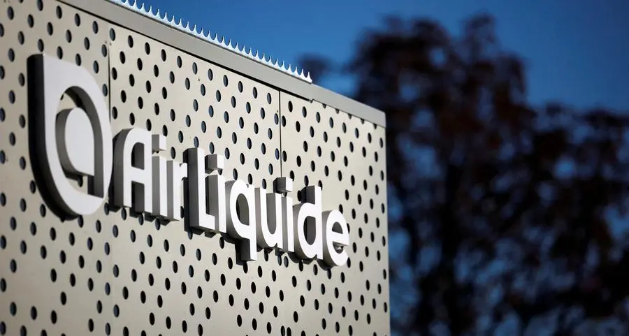 Egypt, Air Liquide probe scaling up investments in industrial gases sector