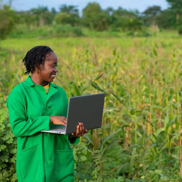 Nigeria: FG urged to empower university students for green Jobs