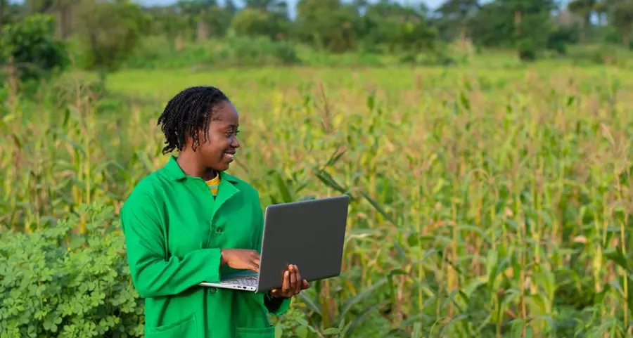 Nigeria: FG urged to empower university students for green Jobs