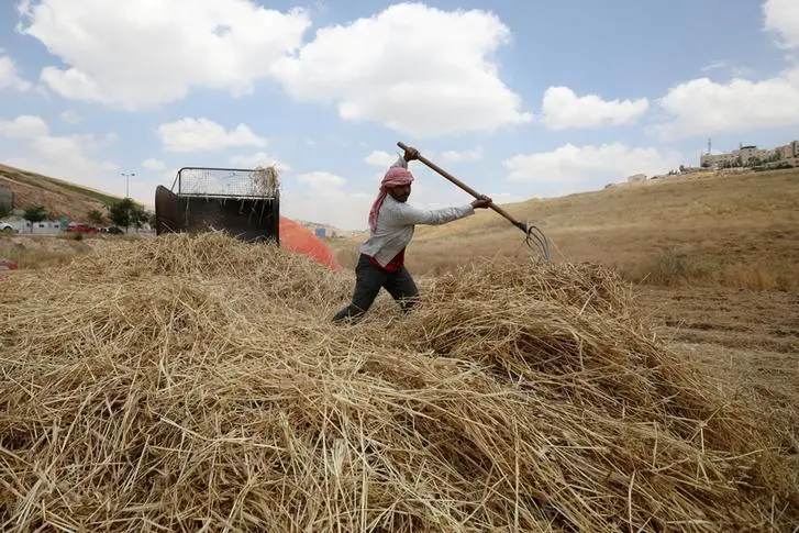 Jordan tenders to buy up to 120,000 metric tons feed barley, traders say