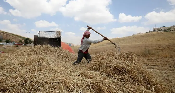Jordan tenders to buy 120,000 metric tons feed barley, traders say