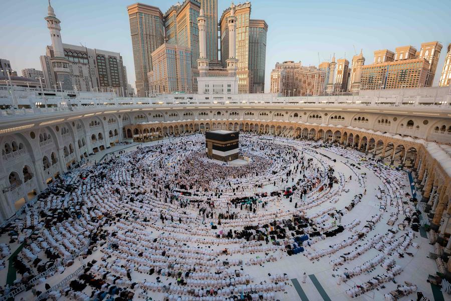 Saudi ministry approves 73 companies qualified to provide services for domestic pilgrims