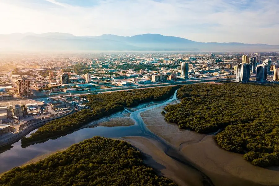 Getty Images/Getty Images