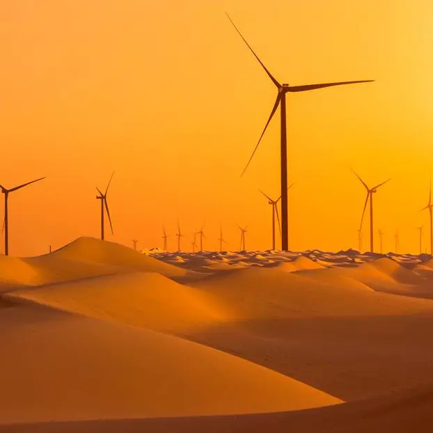 VIDEO: Saudi's ACWA Power secures $692mln for wind power plant in Egypt