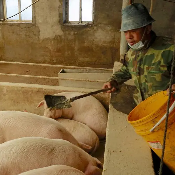 Soybeans fall as Chinese demand awaited, wheat and corn also down