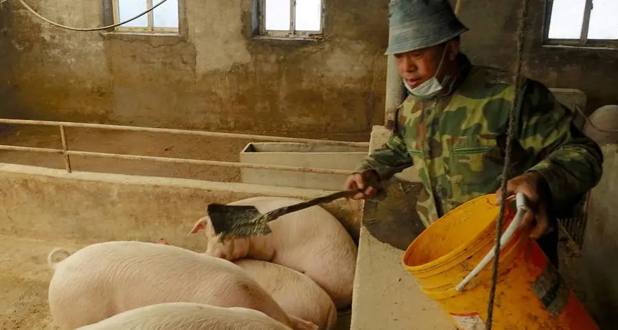 Soybeans fall as Chinese demand awaited, wheat and corn also down