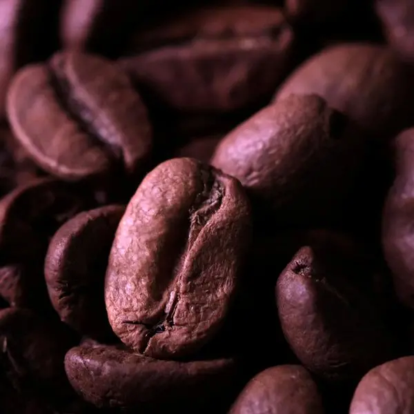 A high-tech coffee culture is brewing in the South African market
