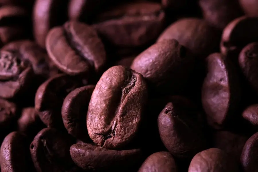 A high-tech coffee culture is brewing in the South African market