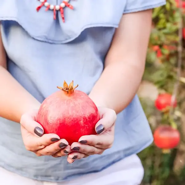 Jordan: Pomegranate festival showcases women's role in agricultural sector