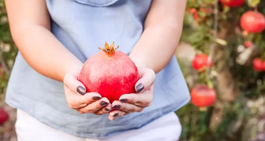 Jordan: Pomegranate festival showcases women's role in agricultural sector