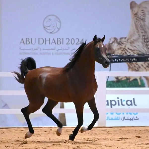 Abu Dhabi International Hunting and Equestrian Exhibition announces Emirates Arabian Horse Society as Equestrian Sector Partner