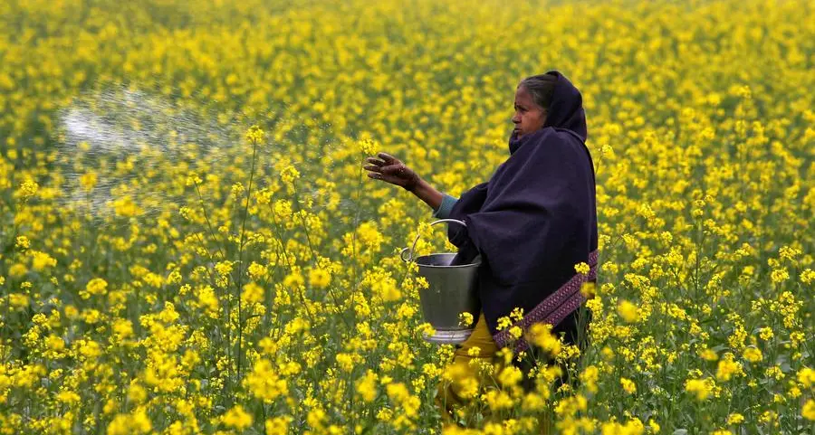 India to import record 2.5mln tons of urea at nearly double price paid two months ago