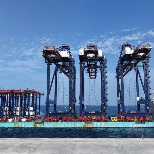 Noatum Ports Safaga Terminal - Egypt receives STS, RTG cranes