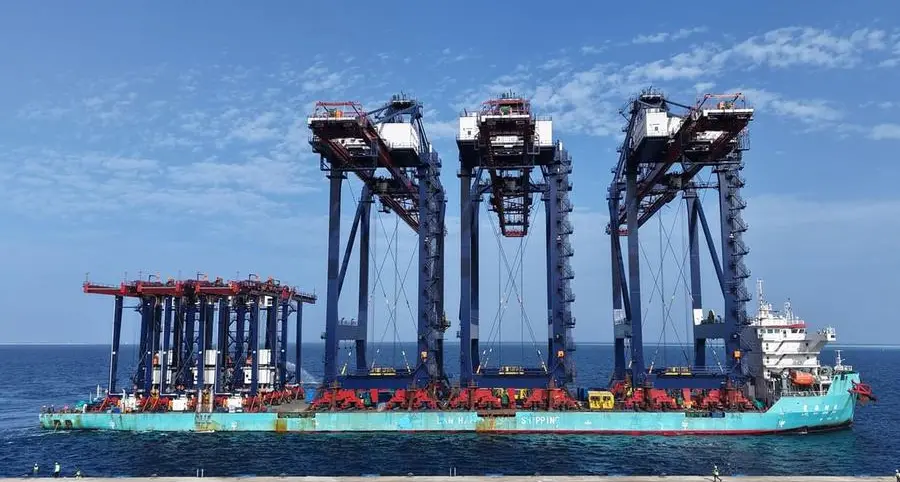 Noatum Ports Safaga Terminal - Egypt receives STS, RTG cranes