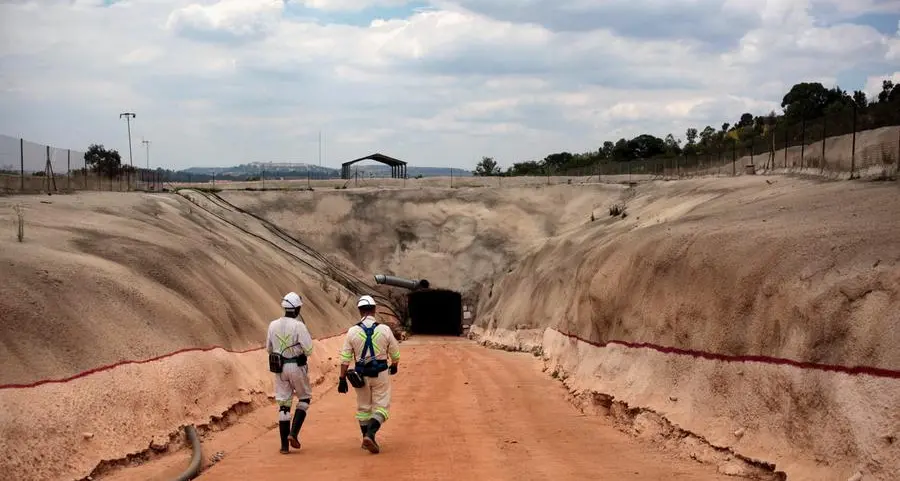 US and South Africa hold talks on mining deals, FT reports