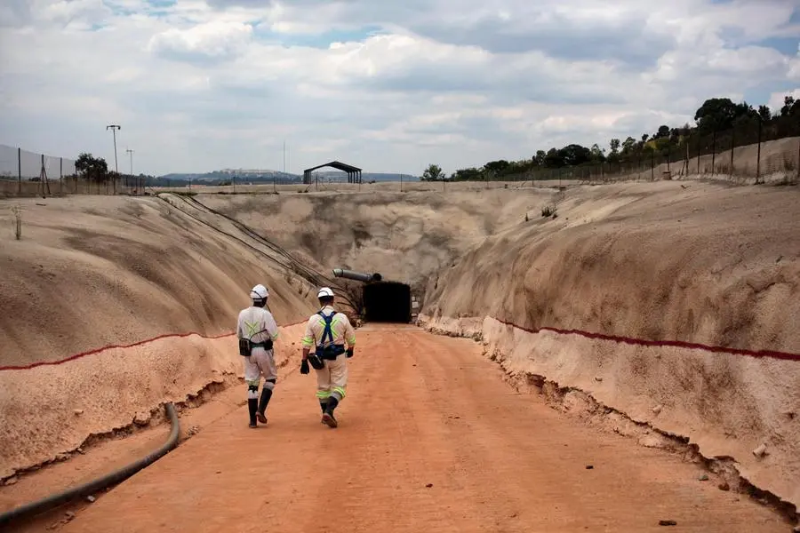 US and South Africa hold talks on mining deals, FT reports
