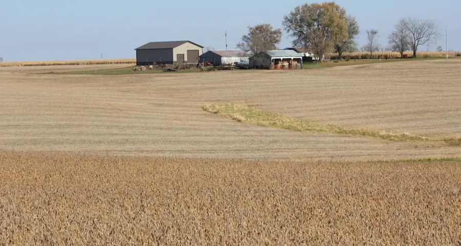 US crop cut estimate supports soybeans, wheat falls on rain forecasts