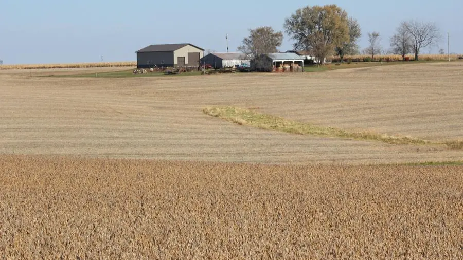 Corn, soybeans set for weekly declines on favourable US weather