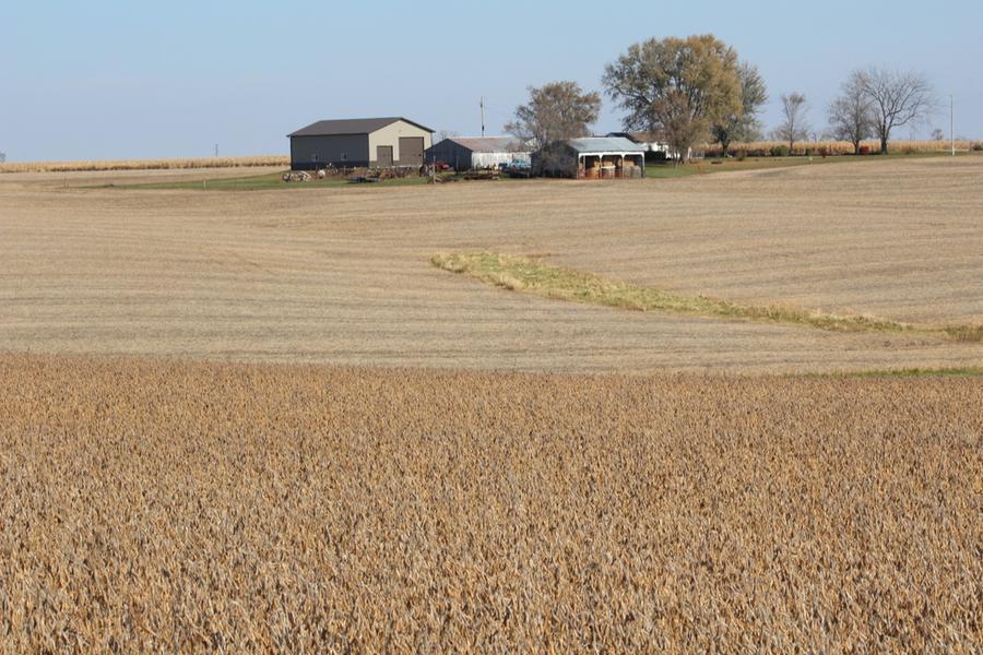 China's role in US agriculture isn't what it used to be: Karen Braun