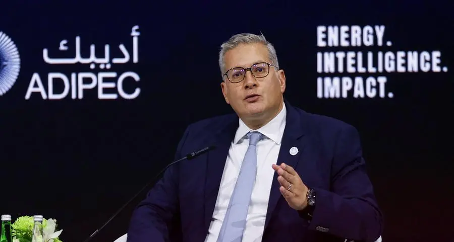 Egypt’s petroleum minister reviews nationwide airborne minerals survey