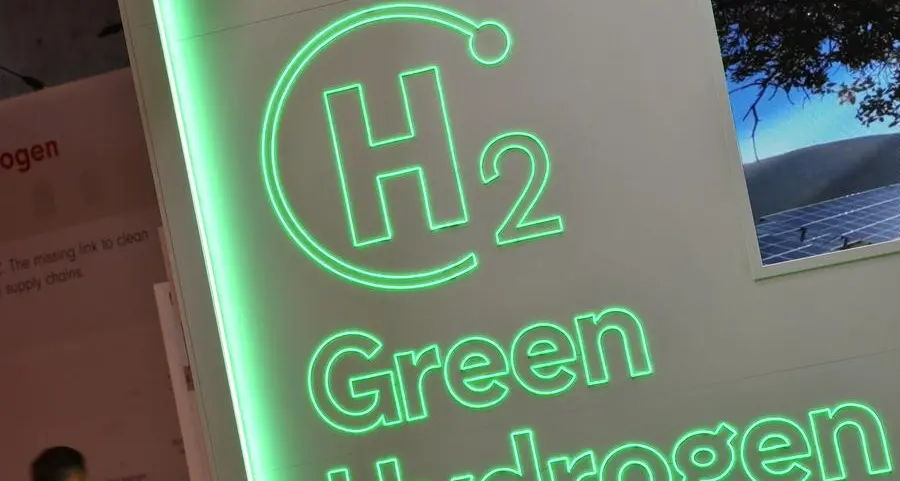 Egypt targets 8% of global green hydrogen market