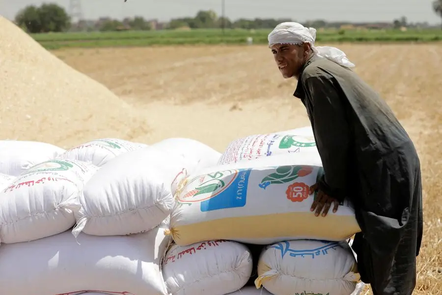 FILE PHOTO: A farmer carries a sack of wheat, after harvesting it from a field in Al Qalyubia Governorate, Egypt, May 25, 2023. REUTERS/Mohamed Abd El Ghany/File Photo , Reuters/REUTERS