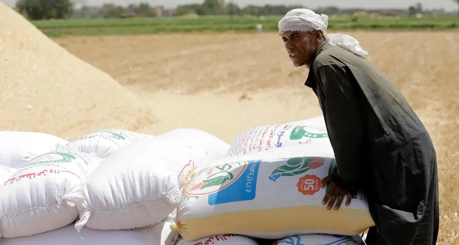 Egypt's state grain buyer diversifies wheat sources amid geopolitical risk