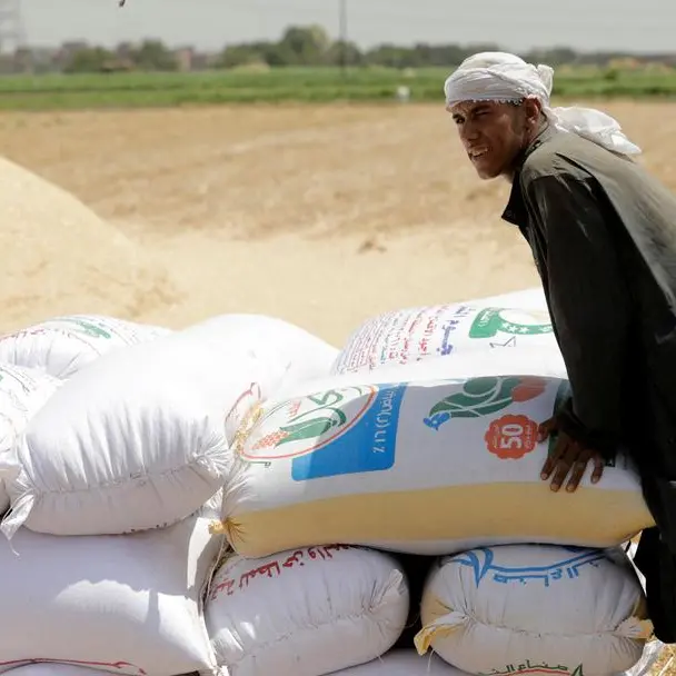 Egypt targets 70% wheat self-sufficiency by 2030 as EU-backed project aims to curb crop losses