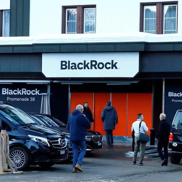 BlackRock's GIP in talks to buy power company AES, sources say
