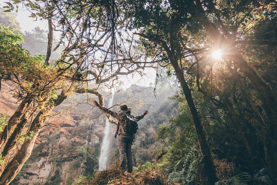 From timber to tourism: South Africa's forests energise local economies