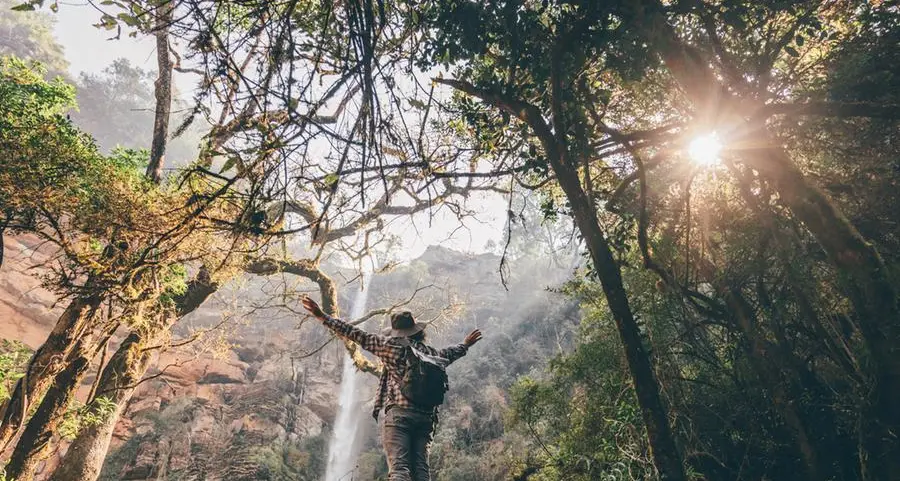 From timber to tourism: South Africa's forests energise local economies