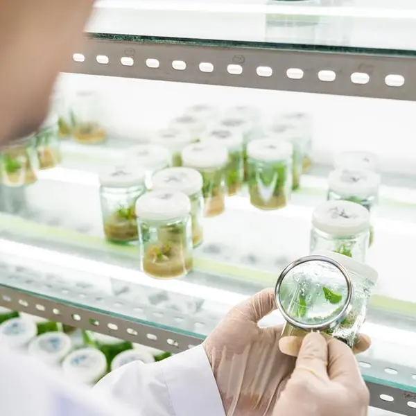 Qatar to build three new laboratories for veterinary and agricultural research