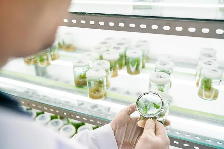 Using magnifying glass to observe plant samples in a laboratory. Image used for illustrative purpose. Image courtesy: Getty Images/ Yongyuan , Getty Images