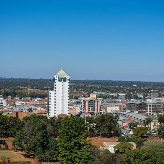 Zimbabwe’s diaspora reshapes real estate and farming investment trends