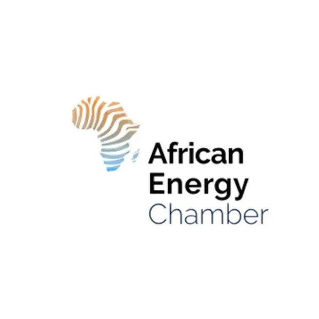 UAE Undersecretary for Energy and Petroleum Affairs joins African Energy Week 2025
