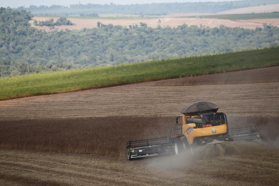 Chicago wheat and corn drop on weak export demand