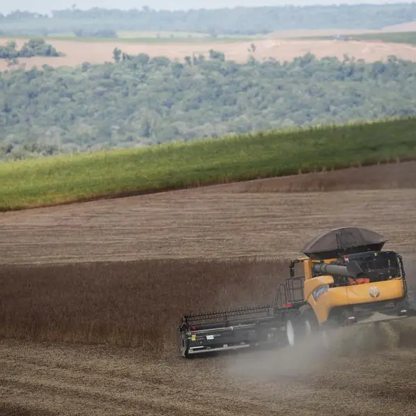 Chicago wheat and corn drop on weak export demand