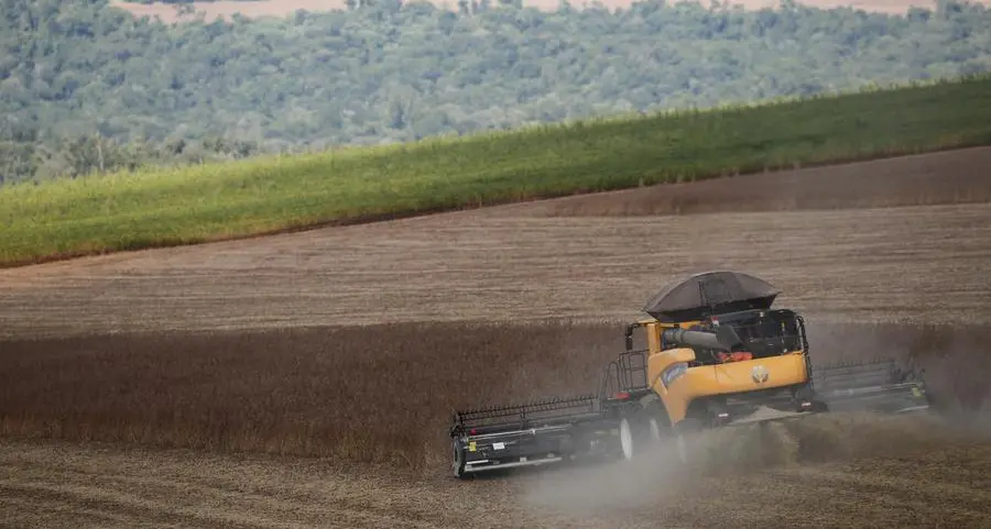 Chicago wheat and corn drop on weak export demand