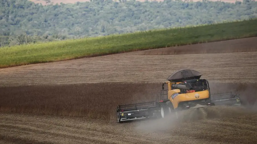 Chicago soybeans recover after selloff on China demand woes