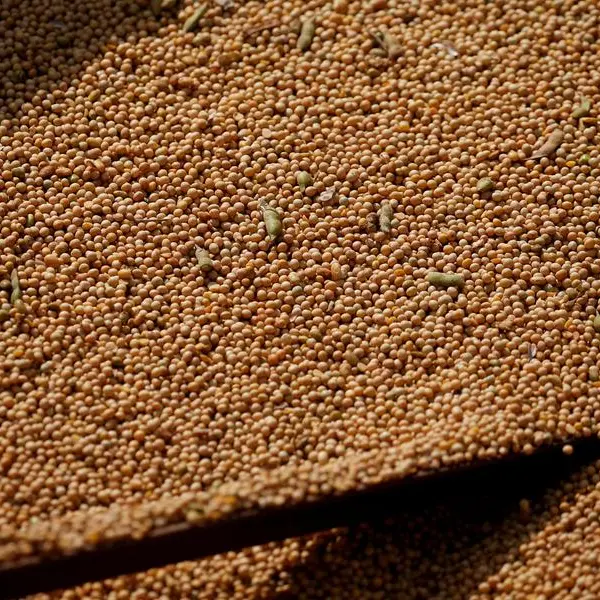 Soybeans up, set for fifth week of gains on crude oil rally