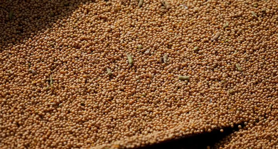 Chicago soybeans fall as Trump-Xi meeting delay dampens Chinese demand hopes