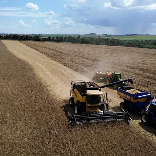 Chicago soy and corn prices ease while wheat edges higher