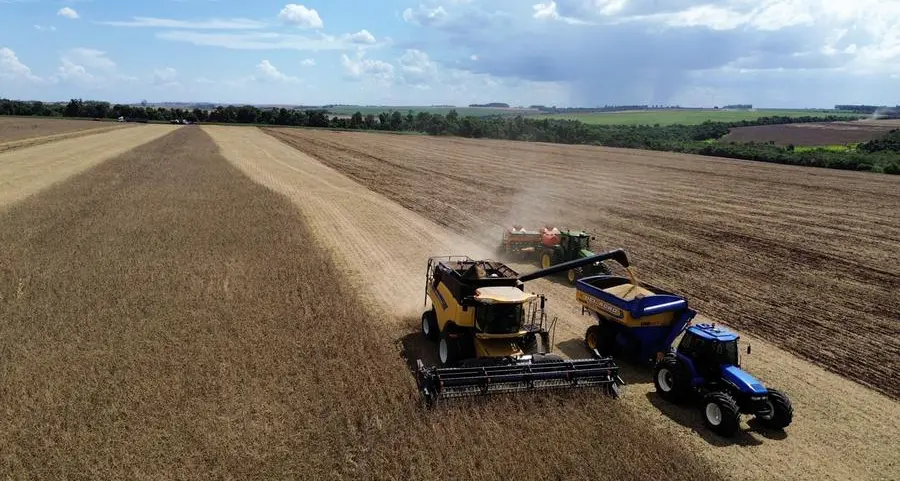 Chicago soy and corn prices ease while wheat edges higher