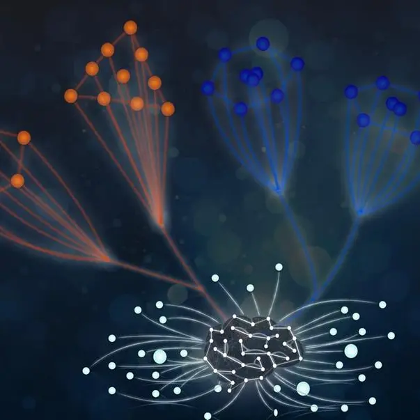 دراسة جديدة تظهر قدرة الذكاء الاصطناعي على اكتشاف أسس علم فيزياء الجزيئات في خطوة تمهّد لاكتشاف القوانين الطبيعية