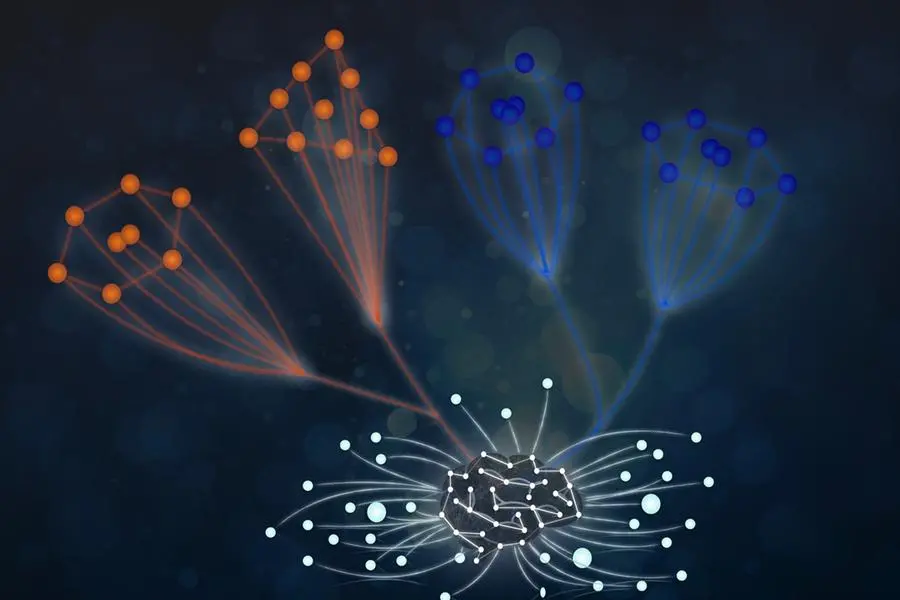 دراسة جديدة تظهر قدرة الذكاء الاصطناعي على اكتشاف أسس علم فيزياء الجزيئات في خطوة تمهّد لاكتشاف القوانين الطبيعية