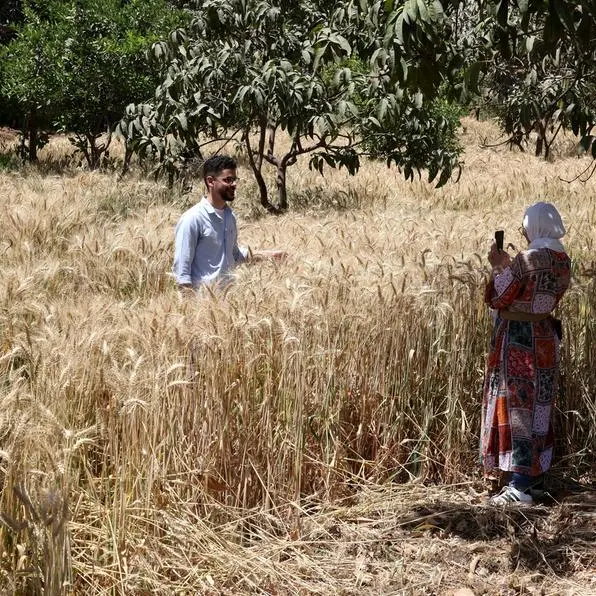 Egypt: Prices of food commodities, vegetable mixed on April 8